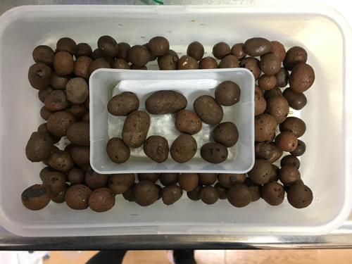 f:id:aqua2018:20190514011229j:plain f:id:aqua2018:20190514011229j:plain