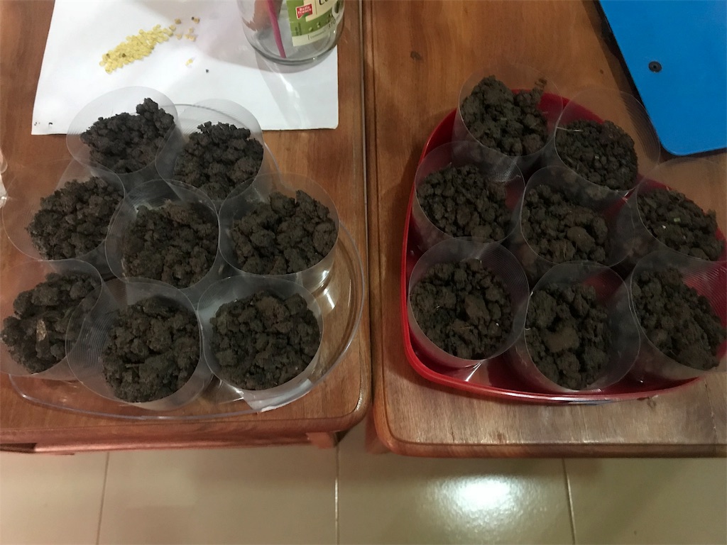 f:id:aqua333:20180703234801j:image