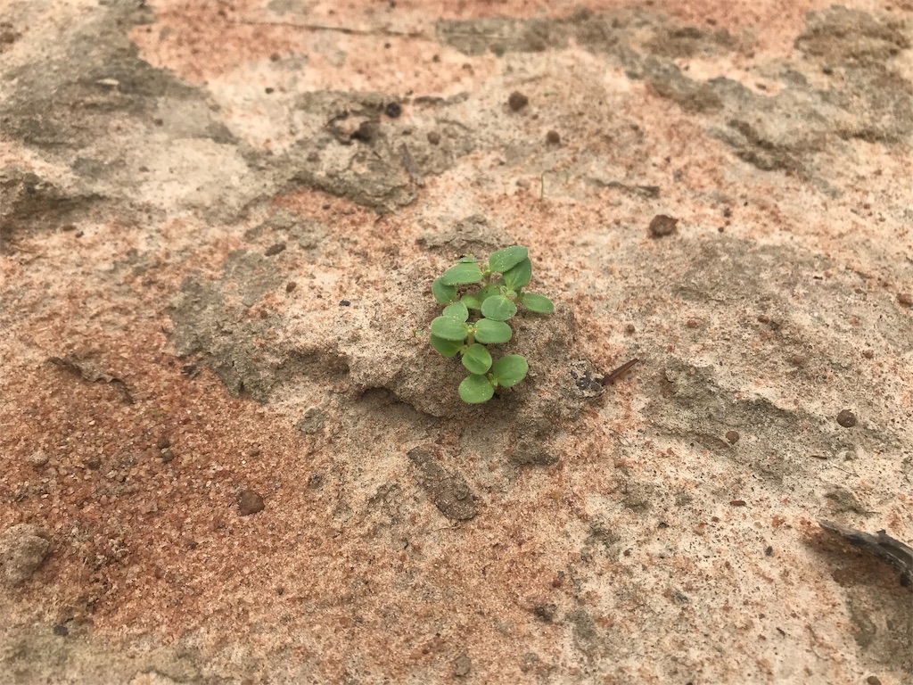 f:id:aqua333:20191207175332j:image