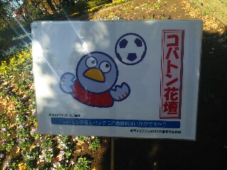f:id:aqua_feather:20171119133128j:plain f:id:aqua_feather:20171119133128j:plain
