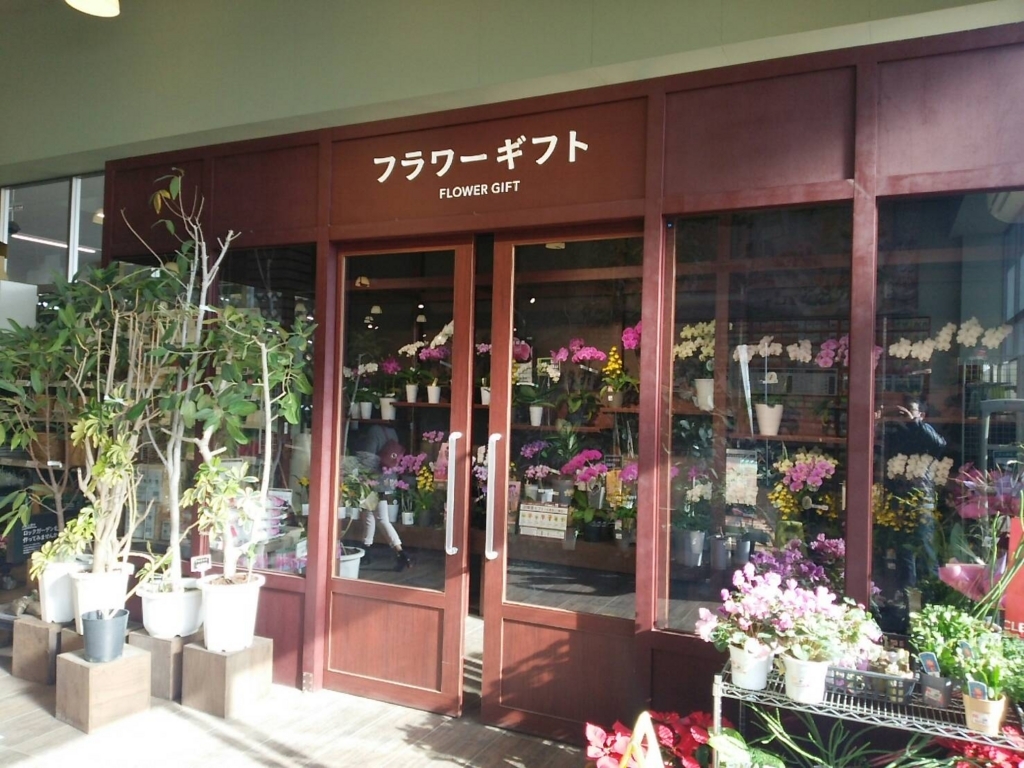 カインズホーム 浦和美園店 フラワーギフト カインズホーム 浦和美園店 フラワーギフト