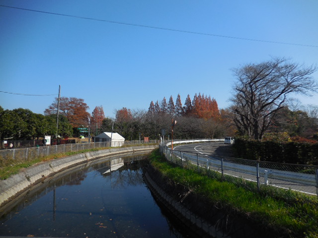 f:id:aqua_feather:20171209182937j:plain f:id:aqua_feather:20171209182937j:plain