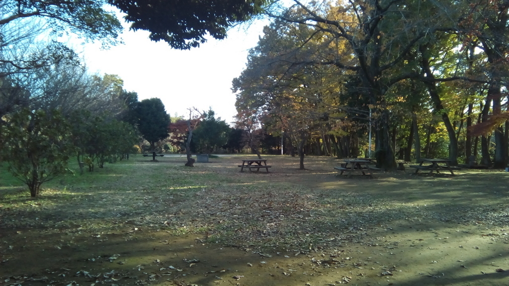 さぎ山記念公園青少年野外活動センター さぎ山記念公園青少年野外活動センター