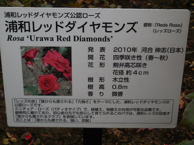 f:id:aqua_feather:20171225132354j:plain f:id:aqua_feather:20171225132354j:plain
