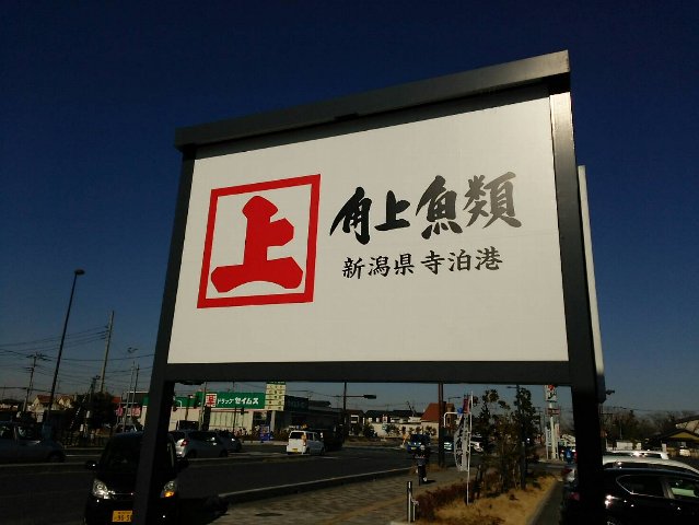 角上魚類 角上魚類