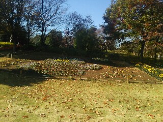 埼玉スタジアム2002公園 コバトン 花壇 埼玉スタジアム2002公園 コバトン 花壇