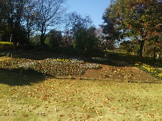 埼玉スタジアム2002公園 コバトン 花壇