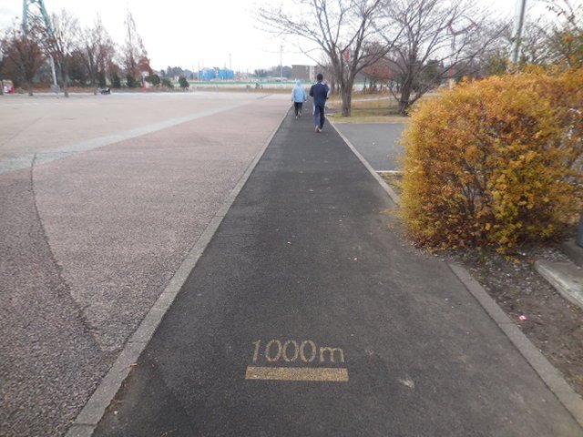 埼玉スタジアム2002公園 ジョギングコース 埼玉スタジアム2002公園 ジョギングコース