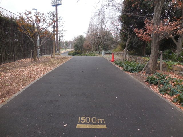 埼玉スタジアム2002公園 ジョギングコース 埼玉スタジアム2002公園 ジョギングコース