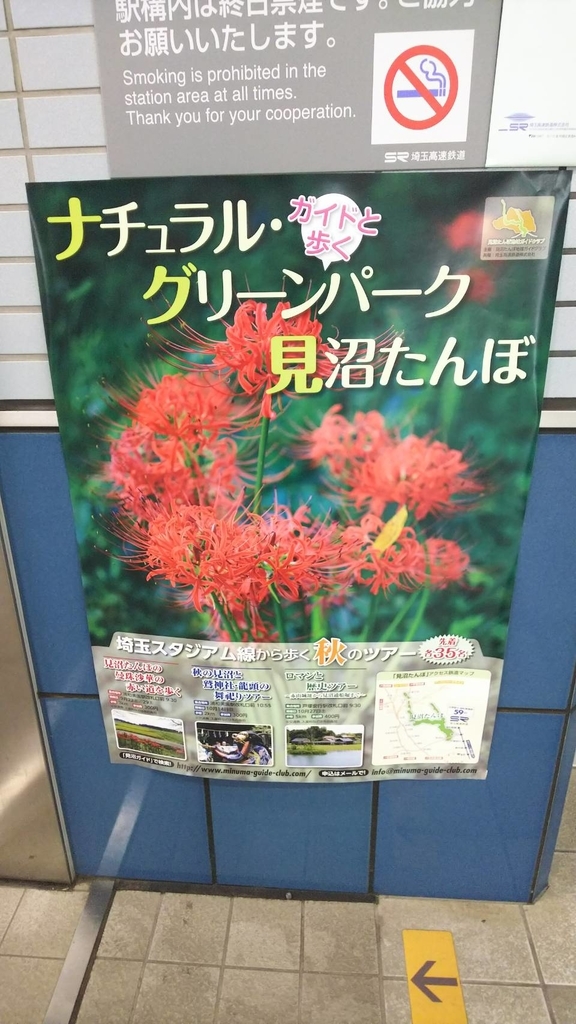f:id:aqua_feather:20181002214828j:plain f:id:aqua_feather:20181002214828j:plain