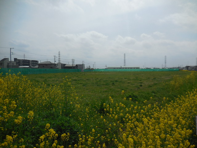 浦和美園4丁目公園の隣 公園建設予定 浦和美園4丁目公園の隣 公園建設予定