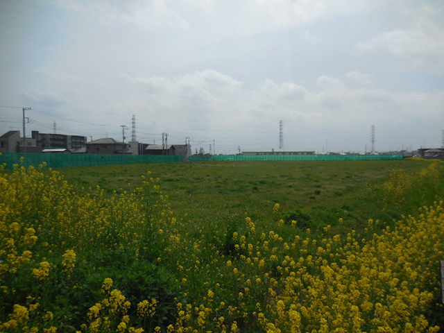 浦和美園4丁目公園の隣　公園建設予定