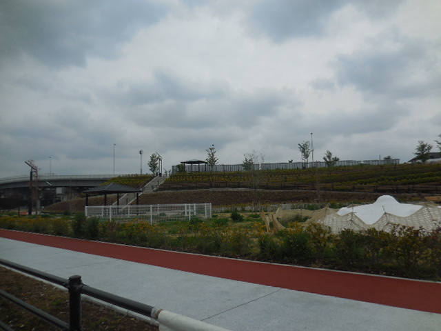 美園台公園 美園台公園 浦和美園