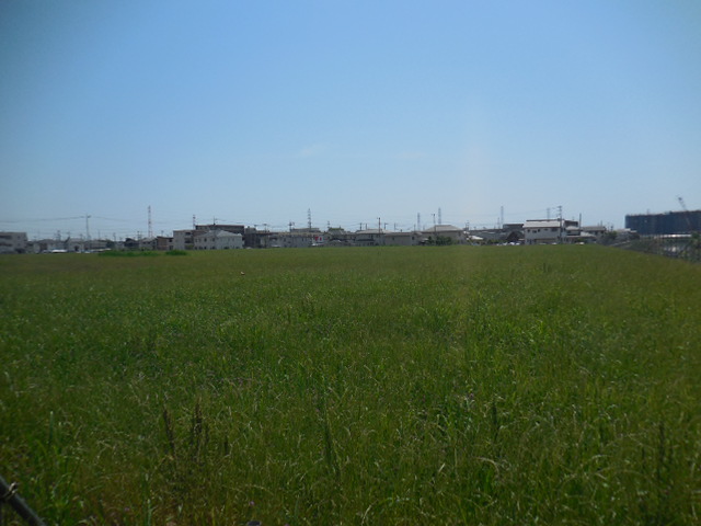 順天堂大学 医学部附属病院 建設中 順天堂大学 医学部附属病院 建設中 浦和美園