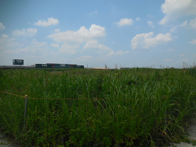 (仮称)DPL浦和美園 (仮称)DPL浦和美園