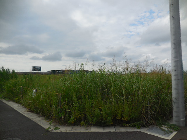 (仮称)DPL浦和美園 (仮称)DPL浦和美園
