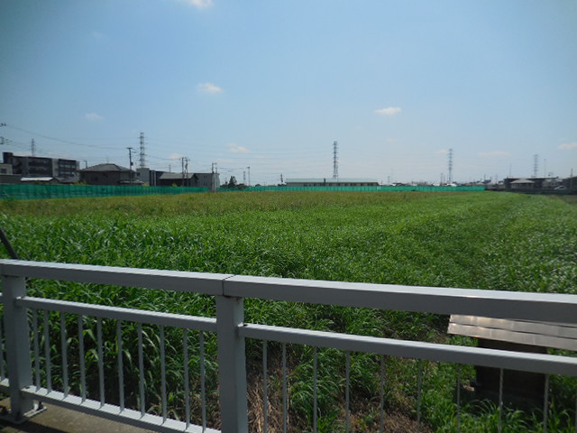 浦和美園4丁目公園の隣　公園建設予定