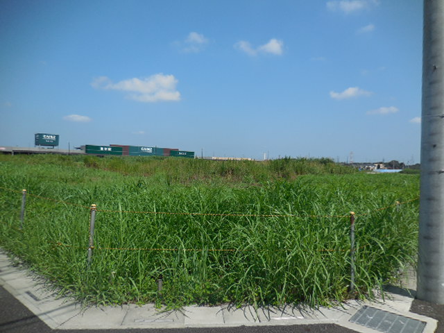 (仮称)DPL浦和美園 (仮称)DPL浦和美園