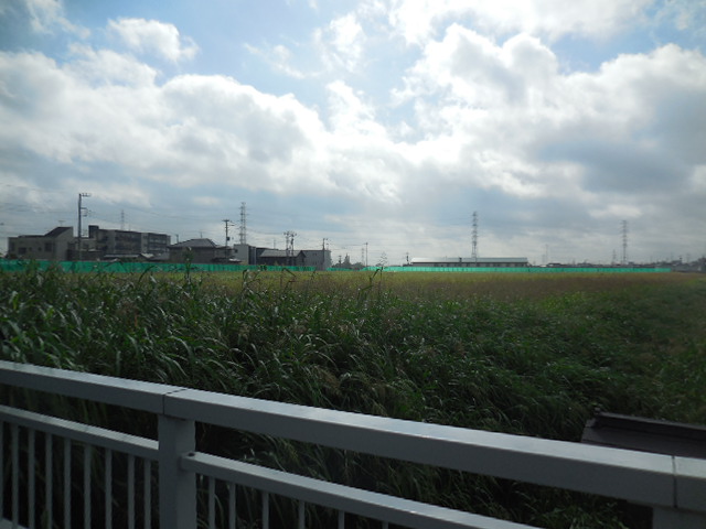 浦和美園4丁目公園の隣 公園建設予定 浦和美園4丁目公園の隣 公園建設予定