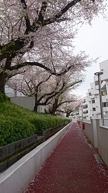 f:id:aqua_labo:20170415182918j:plain f:id:aqua_labo:20170415182918j:plain