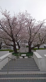 f:id:aqua_labo:20170415183021j:plain f:id:aqua_labo:20170415183021j:plain