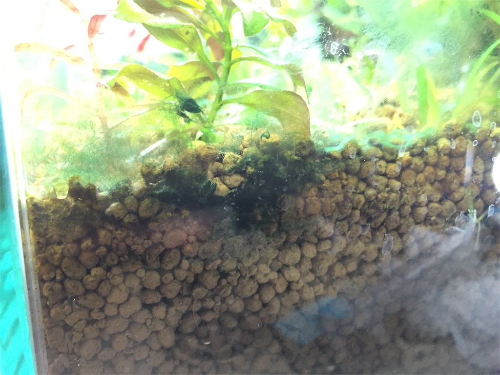 f:id:aquadas:20170517155044j:image