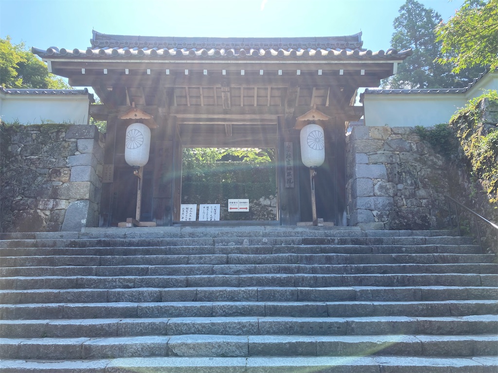 f:id:aqualightblue:20250702202330j:image f:id:aqualightblue:20250702202330j:image