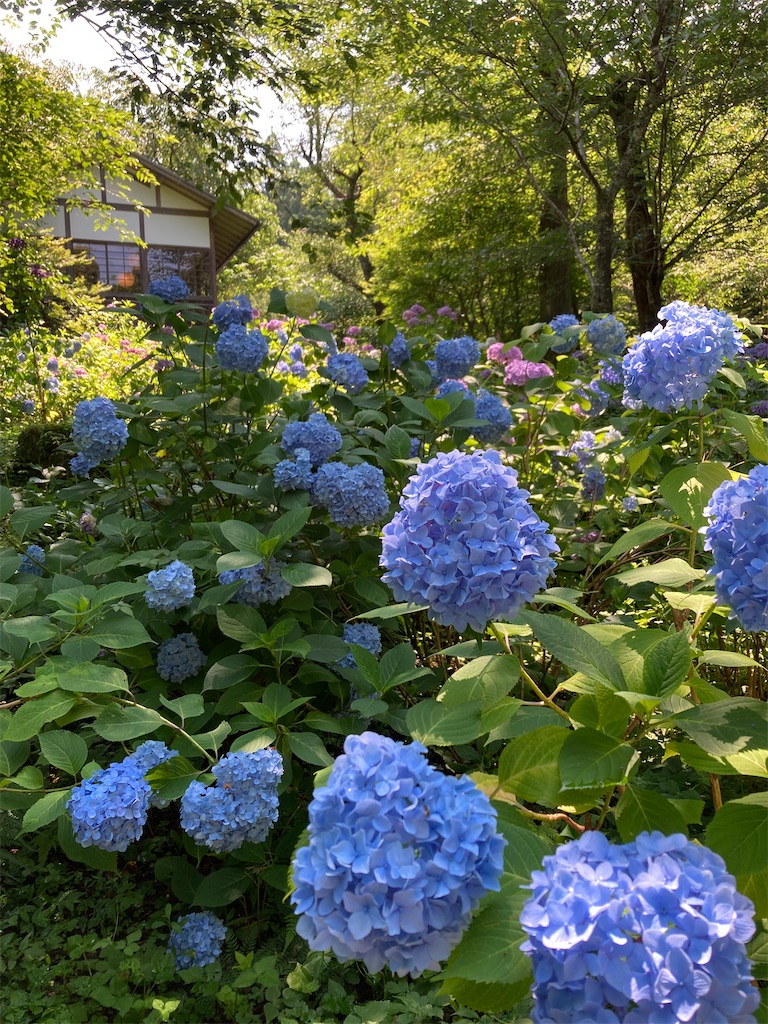 f:id:aqualightblue:20250702210226j:image f:id:aqualightblue:20250702210226j:image