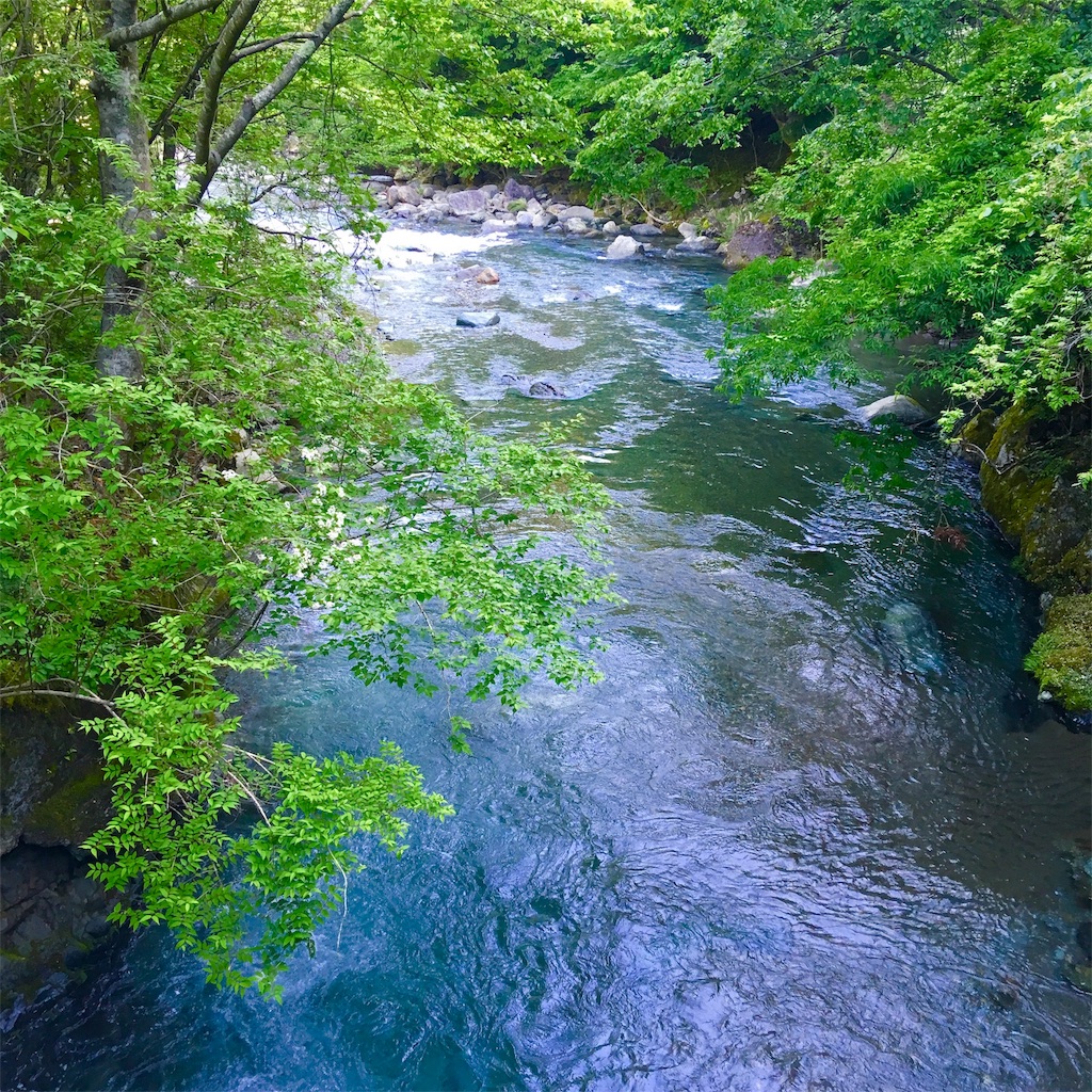 f:id:aquamarine07:20190529092833j:image