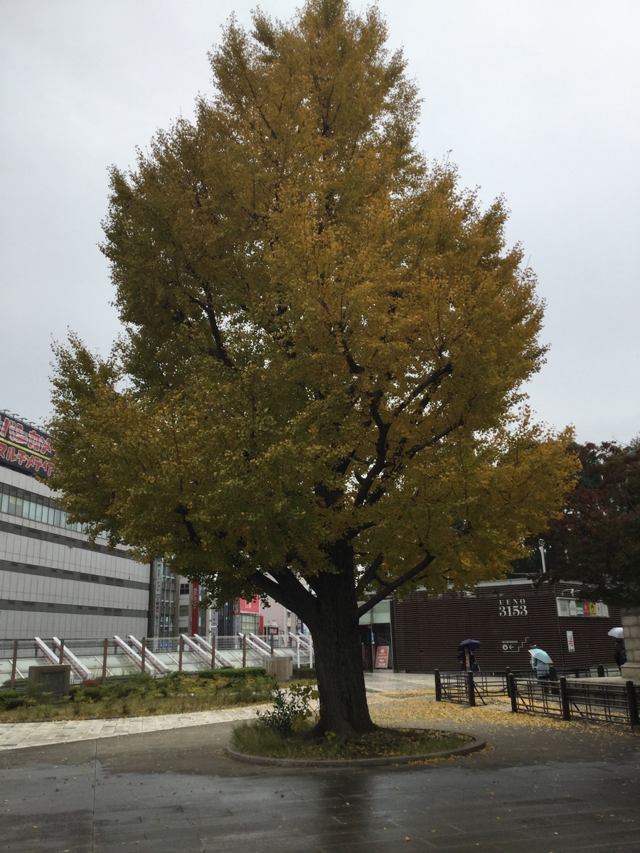 f:id:aquarelax:20191128222657j:plain f:id:aquarelax:20191128222657j:plain