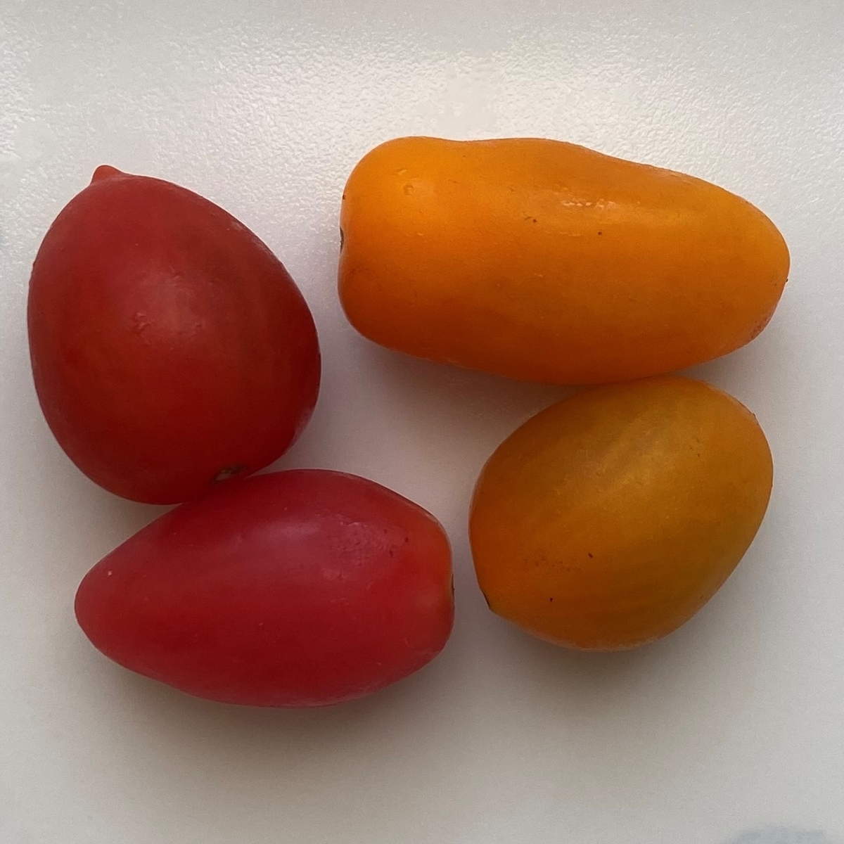 f:id:aquarelax:20211008074516j:plain