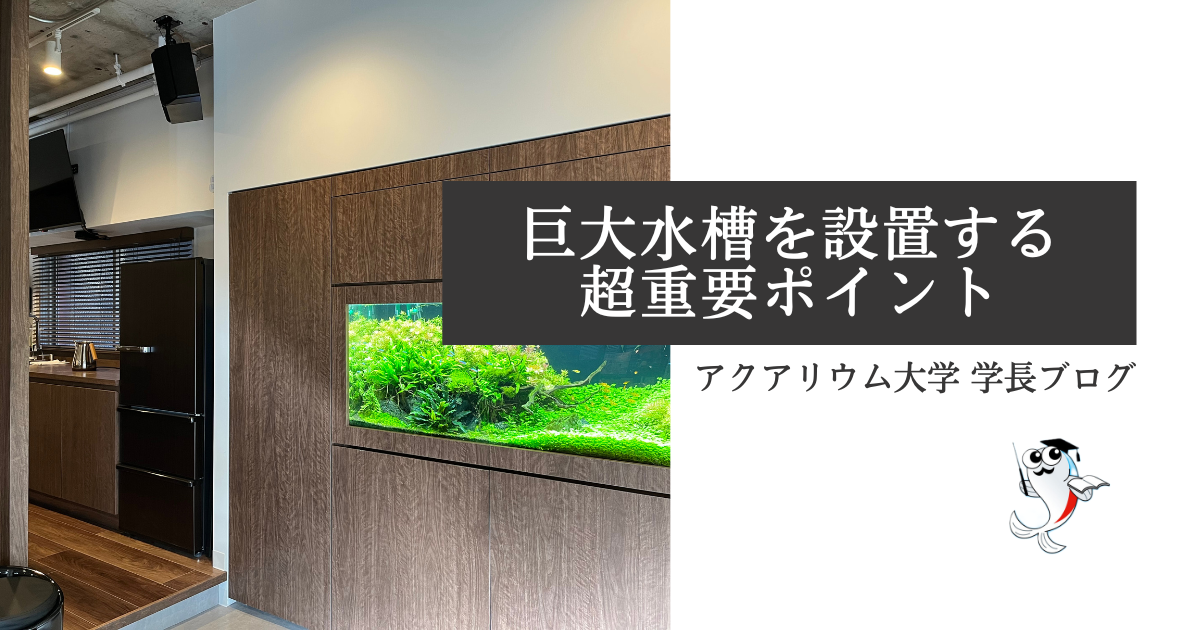 夢の巨大水槽 自宅へ大型特注水槽を設置する時に気をつけること アクアリウム大学 学長ブログ