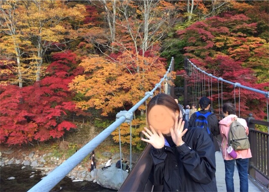 那須塩原 絶対に見逃せない紅葉スポット 紅の吊り橋 に行ってきた 16 11 5撮影 Udon Style 那須塩原 絶対に見逃せない紅葉スポット 紅の吊り橋 に行ってきた 16 11 5撮影 Udon Style