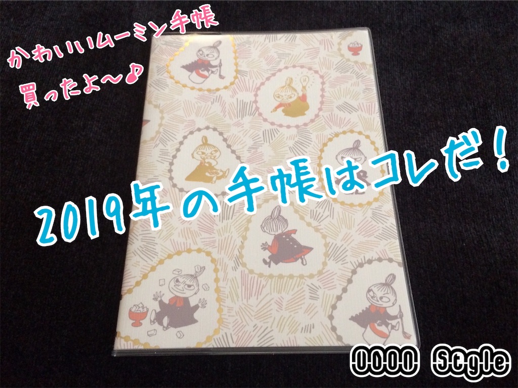f:id:aquarius19840122:20190114130709j:image