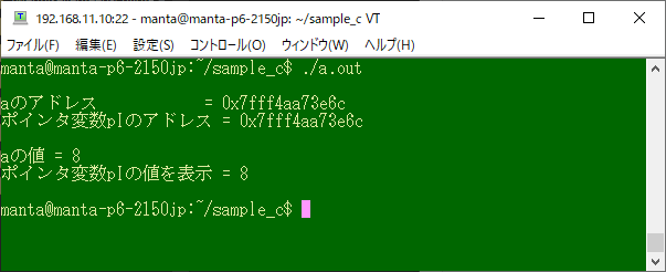 C言語のポインタと配列について解説 - 水瓶座列車