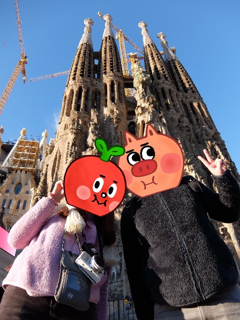 f:id:aquarius_b:20180125073427j:plain