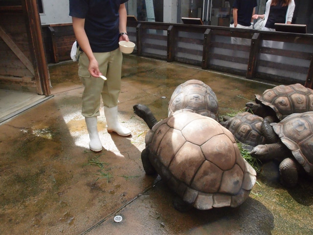 f:id:aquatottotoday:20160913213554j:plain f:id:aquatottotoday:20160913213554j:plain