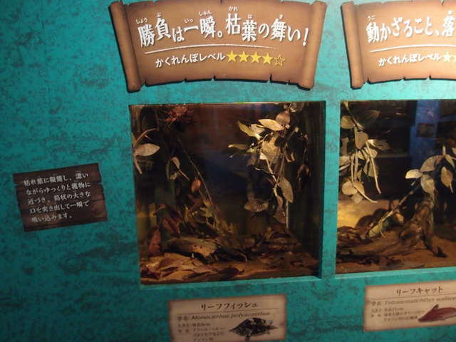 f:id:aquatottotoday:20180427120714j:plain f:id:aquatottotoday:20180427120714j:plain