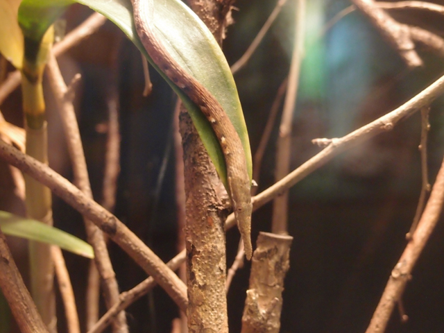 f:id:aquatottotoday:20180427120716j:plain f:id:aquatottotoday:20180427120716j:plain