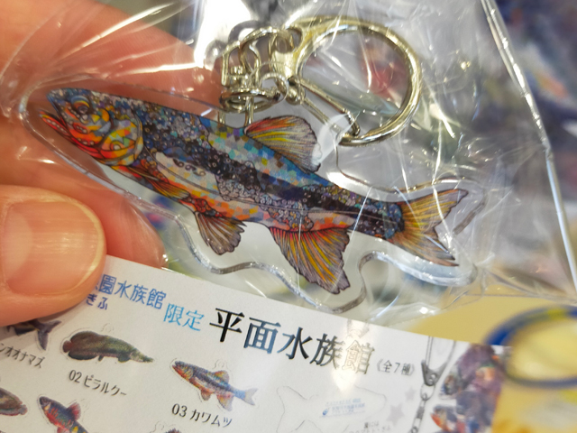2023/7/4 平面水族館 - きょうのアクアトト