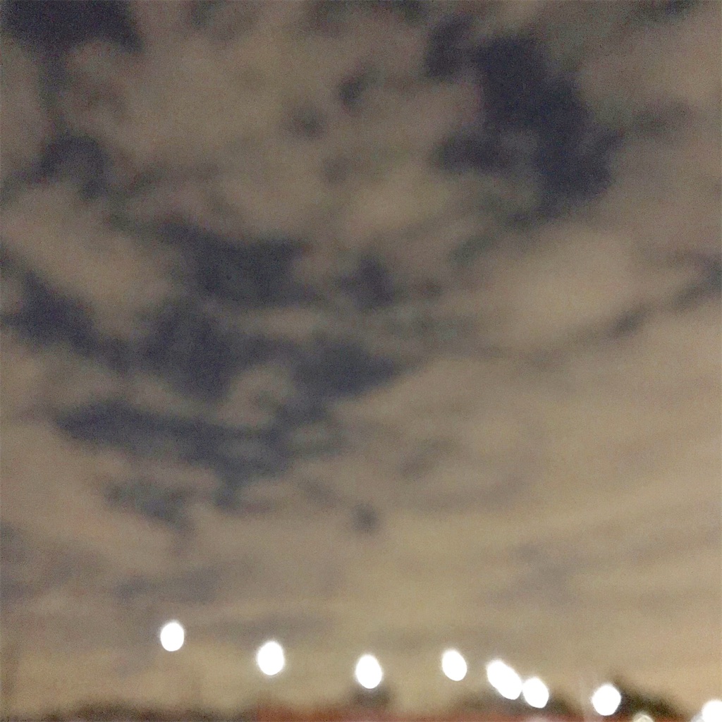 f:id:aquviig:20211204231255j:image