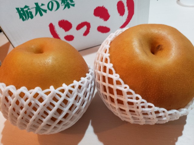 f:id:ara-channel:20181209005338j:image