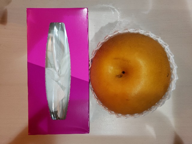 f:id:ara-channel:20181209233530j:image