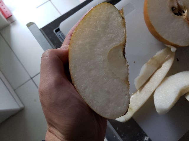 f:id:ara-channel:20181209233602j:image