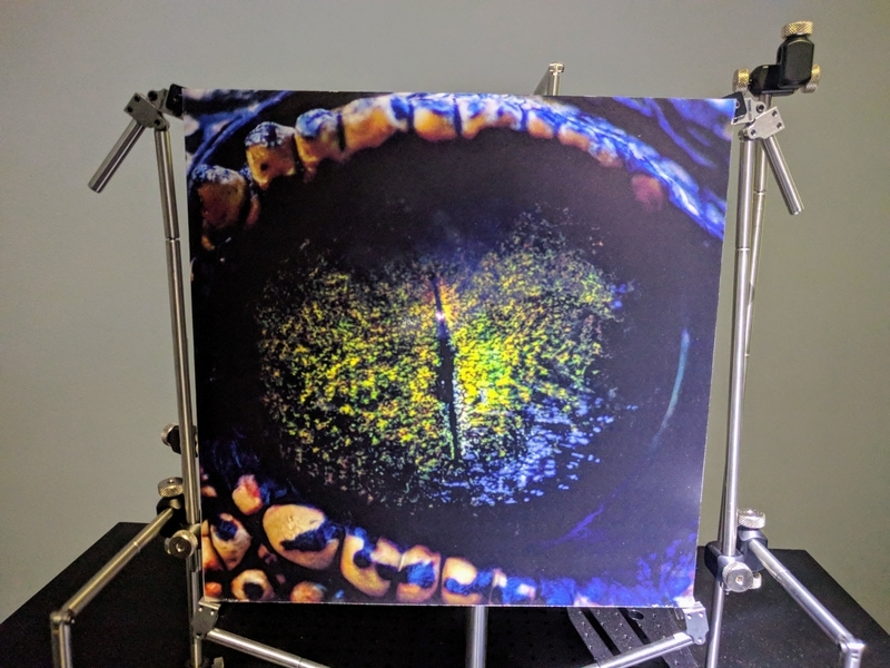 落合陽一による鰐の目の作品