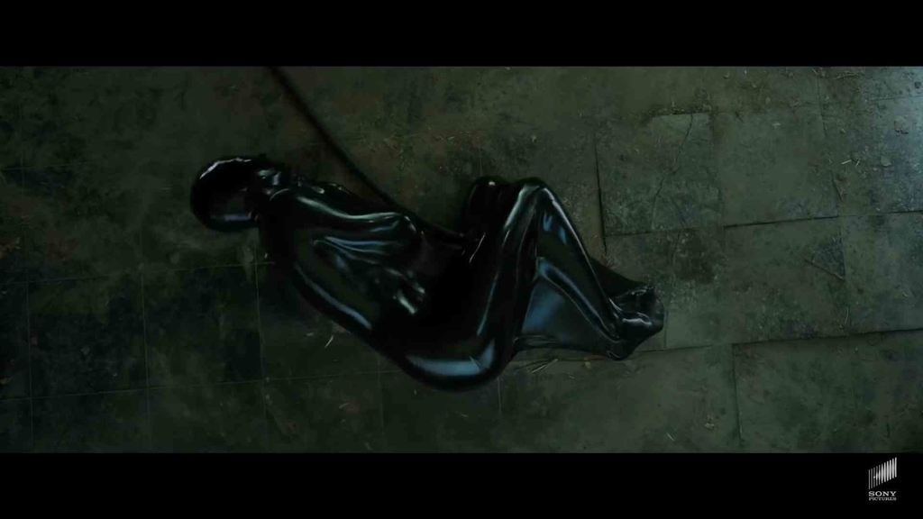 映画『蜘蛛の巣を払う女』画像