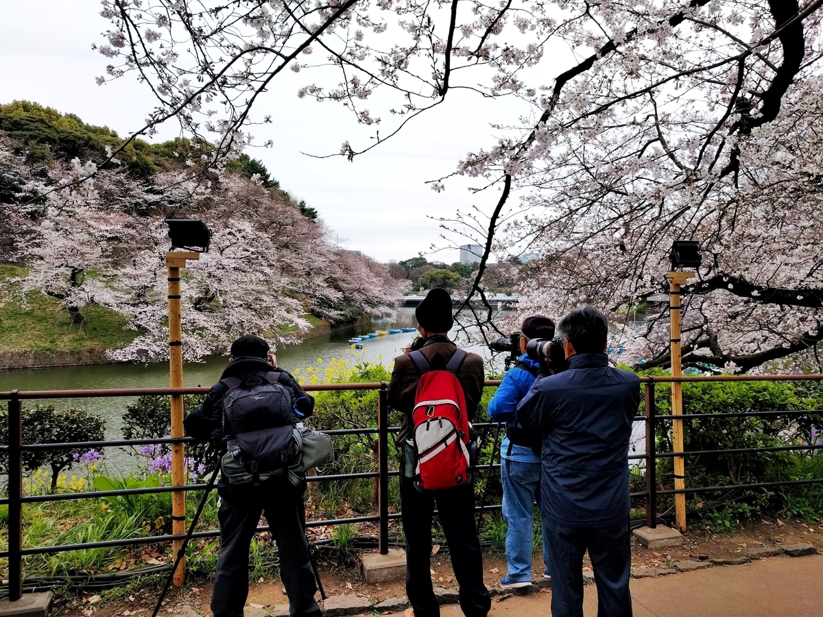 f:id:ara-meosto:20190426232537j:plain