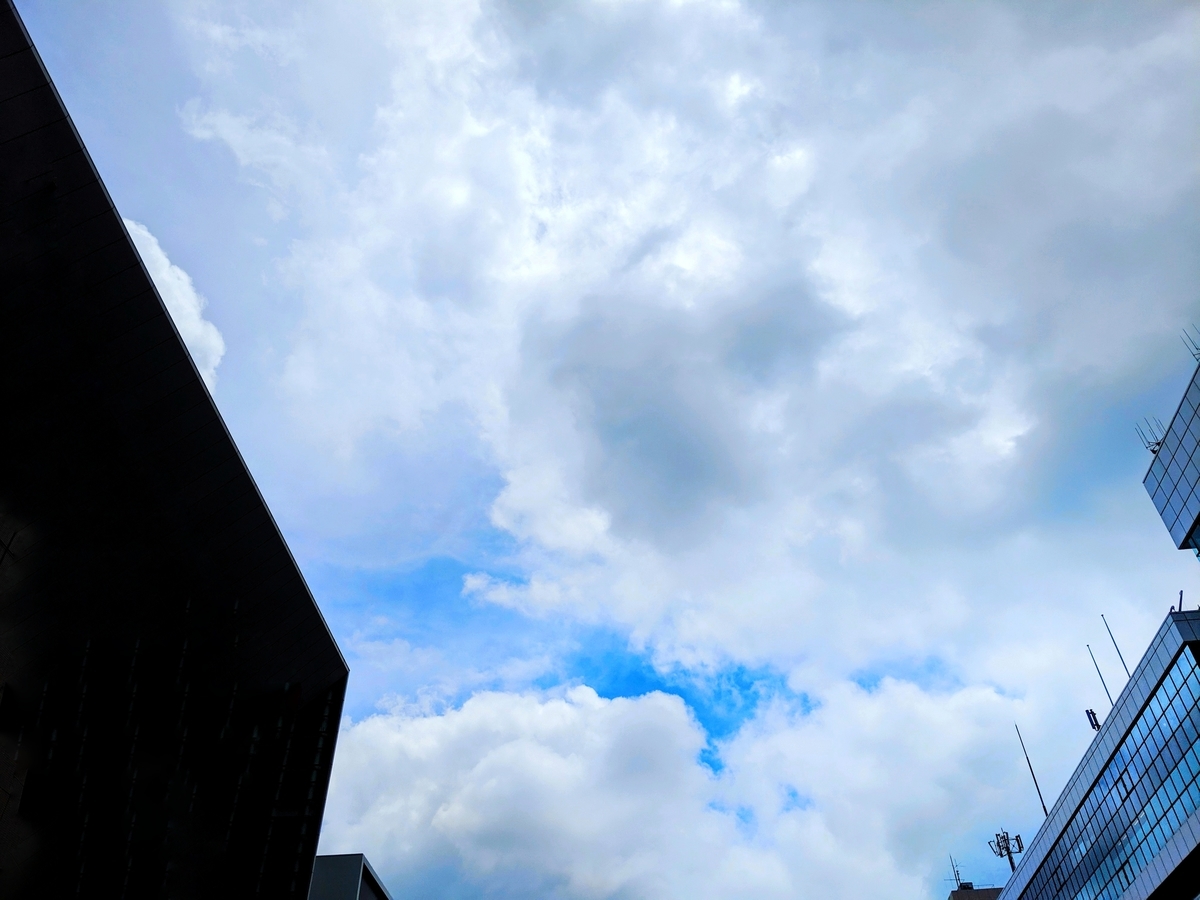 f:id:ara-meosto:20190719200745j:plain f:id:ara-meosto:20190719200745j:plain