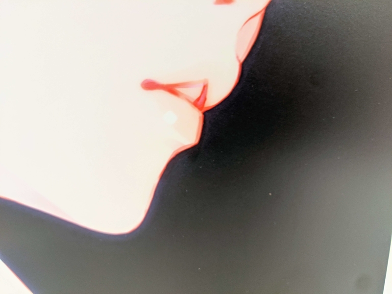f:id:ara-meosto:20191202212156j:plain f:id:ara-meosto:20191202212156j:plain