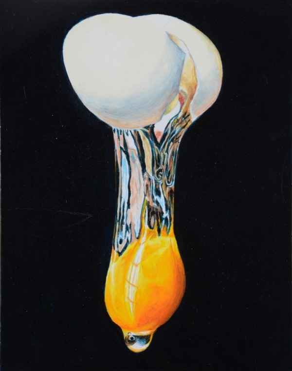 f:id:ara-meosto:20200117004953j:plain f:id:ara-meosto:20200117004953j:plain